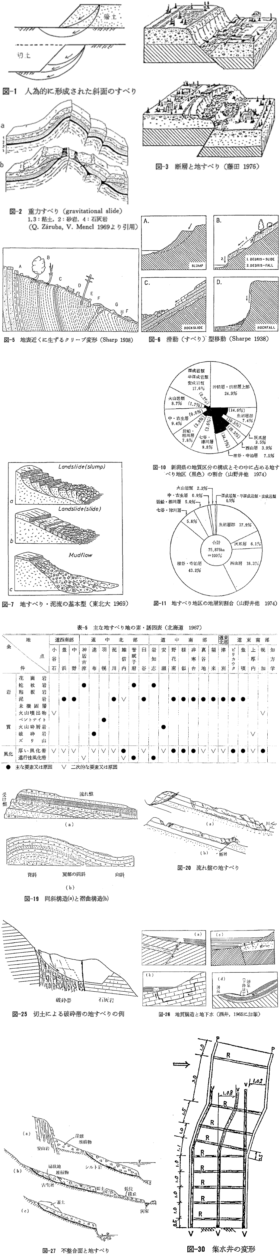 代表図